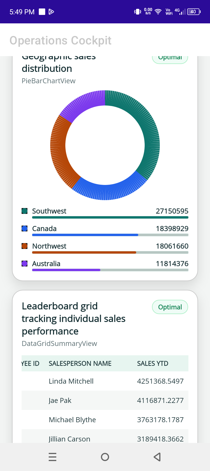 BusinessInsight mobile pie chart and summary view